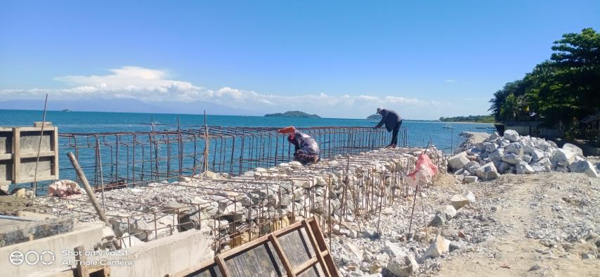 Gabion Systems